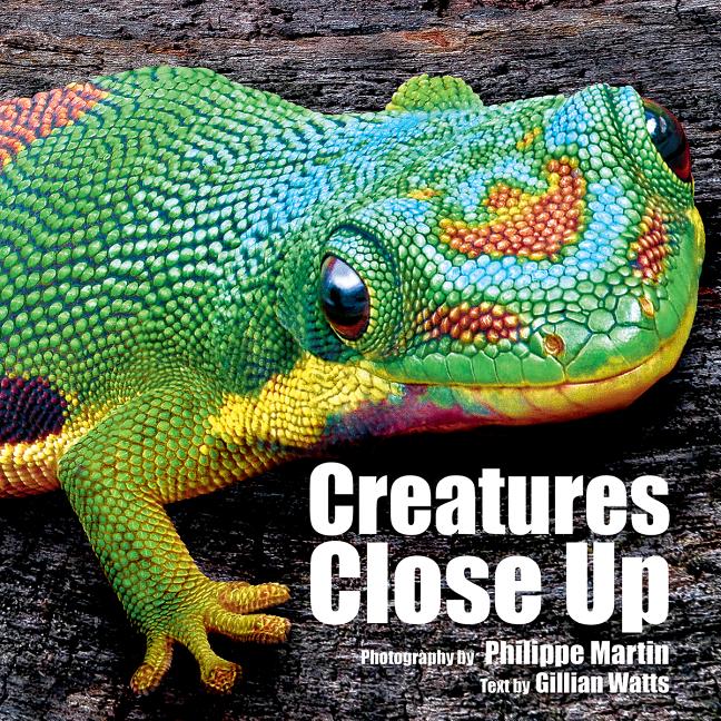 Creatures Close Up - Ingram