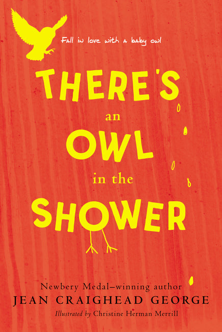 There's an Owl in the Shower - Ingram