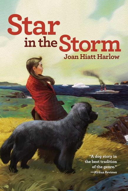 Star in the Storm (Reprint) - Ingram