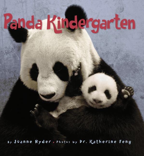 Panda Kindergarten - Ingram