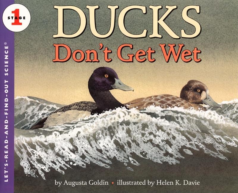 Ducks Don't Get Wet - Ingram