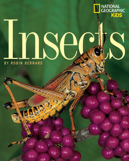 Insects (Trade) - Ingram