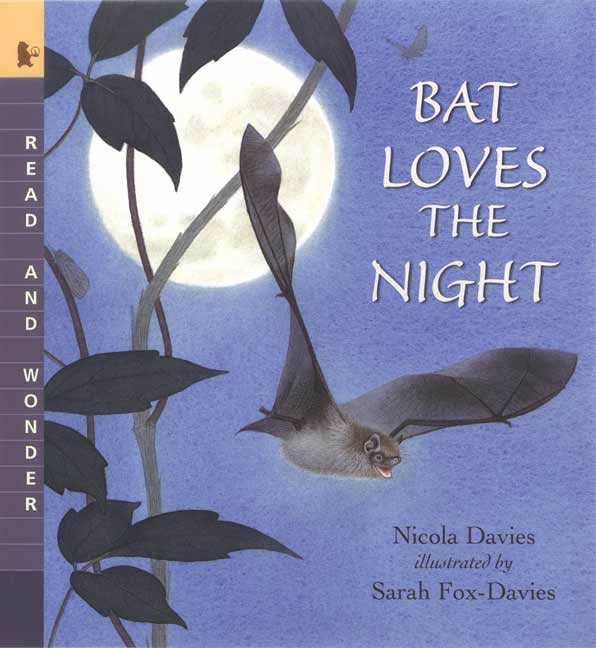 Bat Loves the Night - Ingram