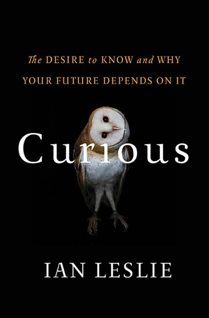 Curious: The Desire to Know and Why Your Future Depends on It - Ingram