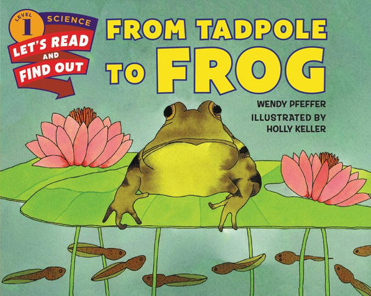 From Tadpole to Frog - Ingram