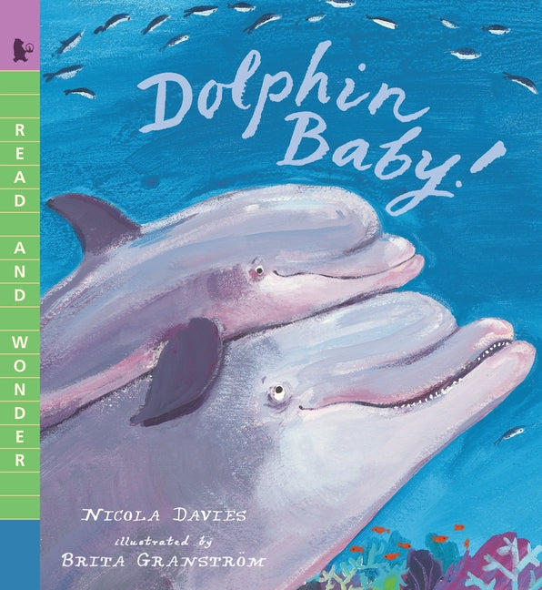 Dolphin Baby!: Read and Wonder - Ingram