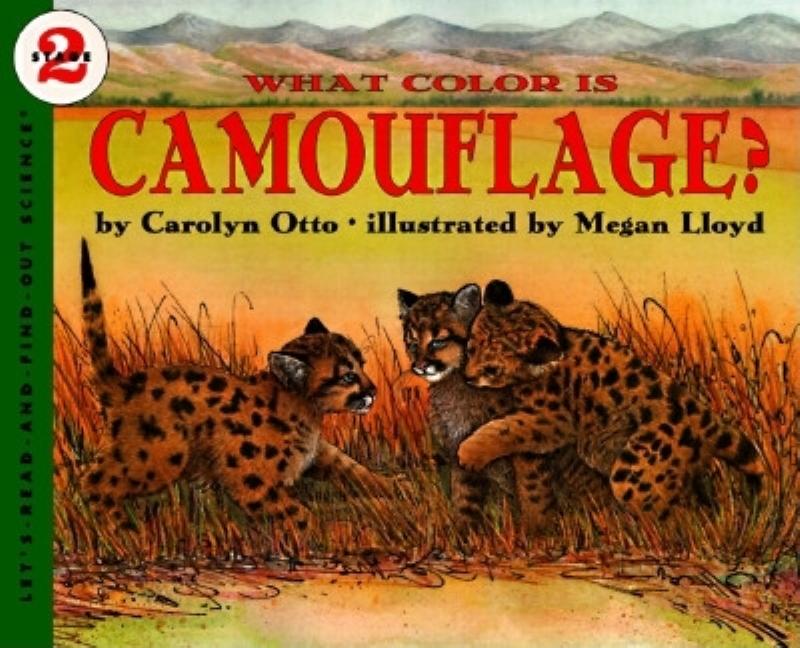 What Color Is Camouflage? - Ingram