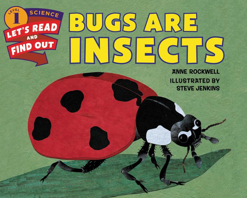 Bugs Are Insects - Ingram