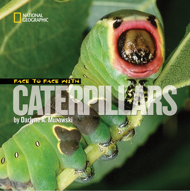 Face to Face with Caterpillars - Ingram