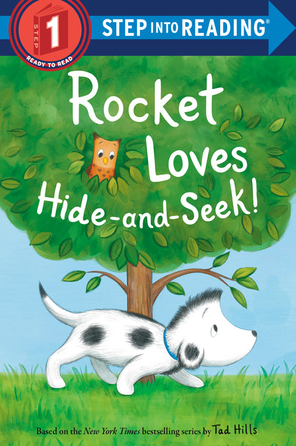 Rocket Loves Hide-And-Seek! - Ingram