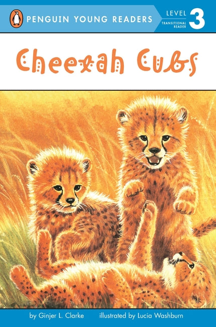 Cheetah Cubs - Ingram