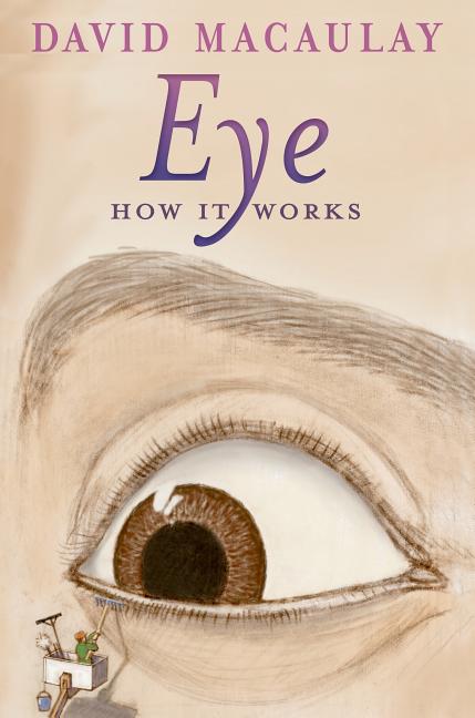 Eye: How It Works - Ingram