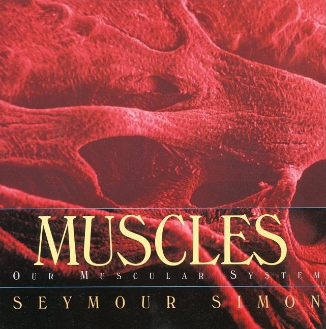 Muscles: Our Muscular System - Ingram