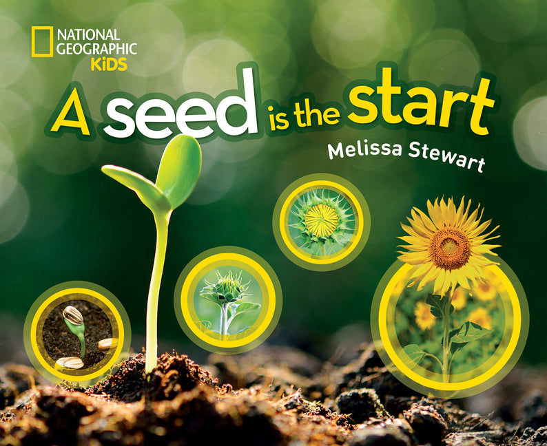 Seed Is the Start - Ingram