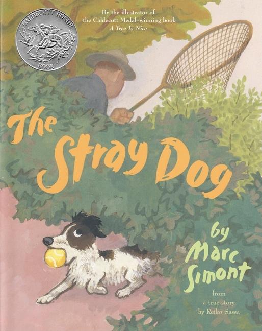 Stray Dog: A Caldecott Honor Award Winner - Ingram