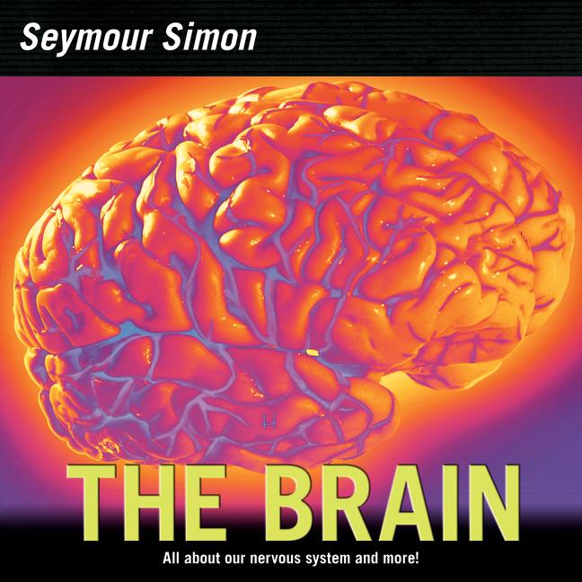 Brain: All about Our Nervous System and More! (Revised) - Ingram