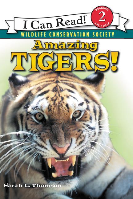 Amazing Tigers! - Ingram