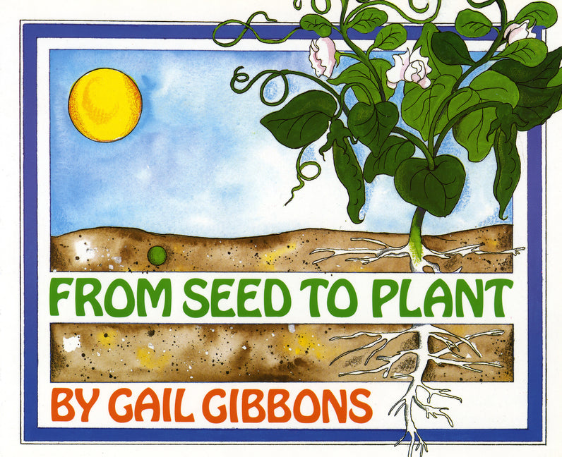 From Seed to Plant - Ingram