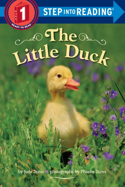 Little Duck - Ingram