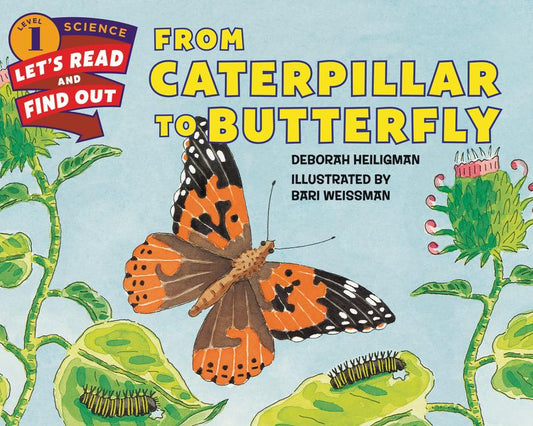 From Caterpillar to Butterfly - Ingram