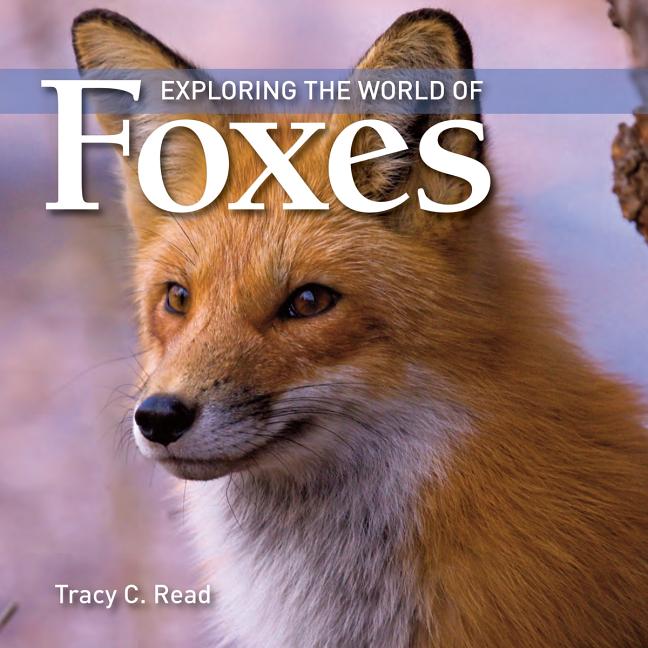 Exploring the World of Foxes - Ingram