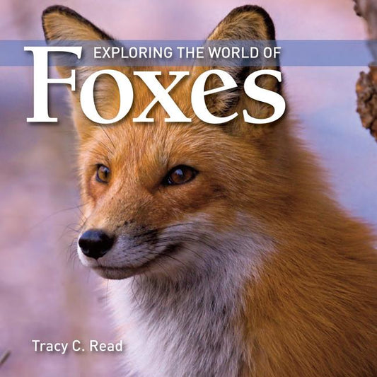 Exploring the World of Foxes - Ingram
