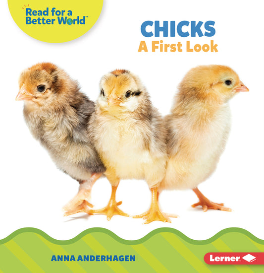 Chicks: A First Look - Ingram