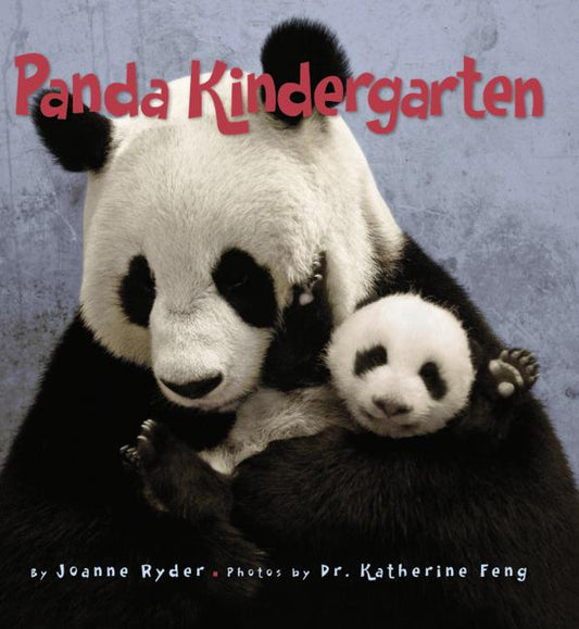 Panda Kindergarten - Ingram