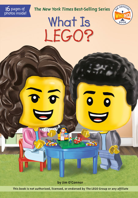 What Is LEGO? - Ingram