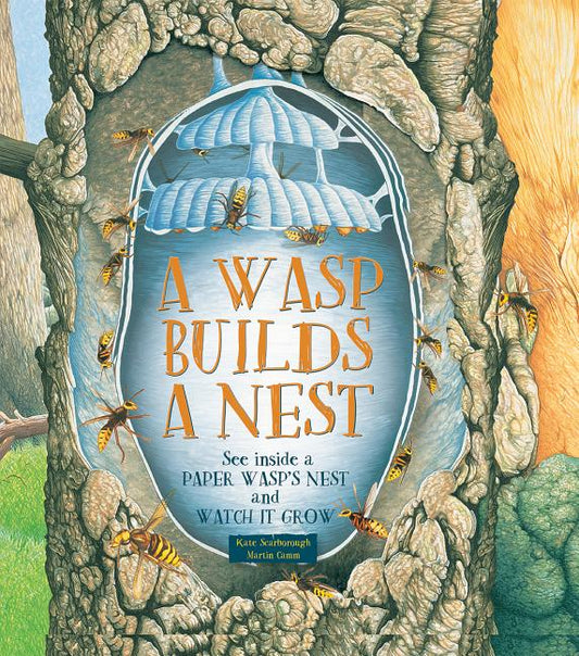 Wasp Builds a Nest: See Inside a Paper Wasp's Nest and Watch It Grow - Ingram