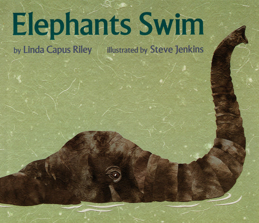 Elephants Swim - Ingram