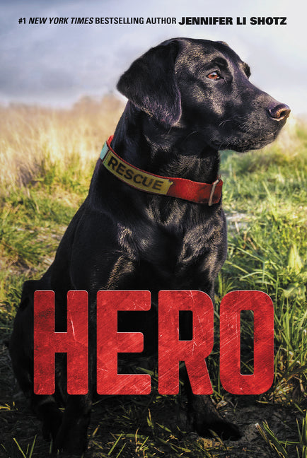 Hero - Ingram